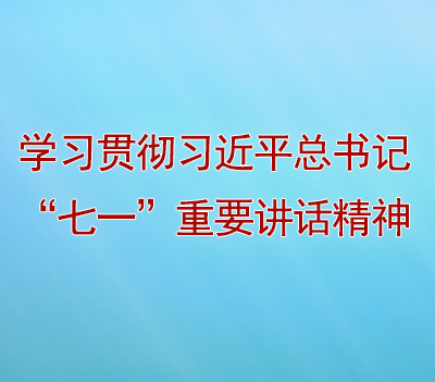 學(xué)習(xí)貫徹習(xí)近平總書(shū)記“七一”重要講話精神